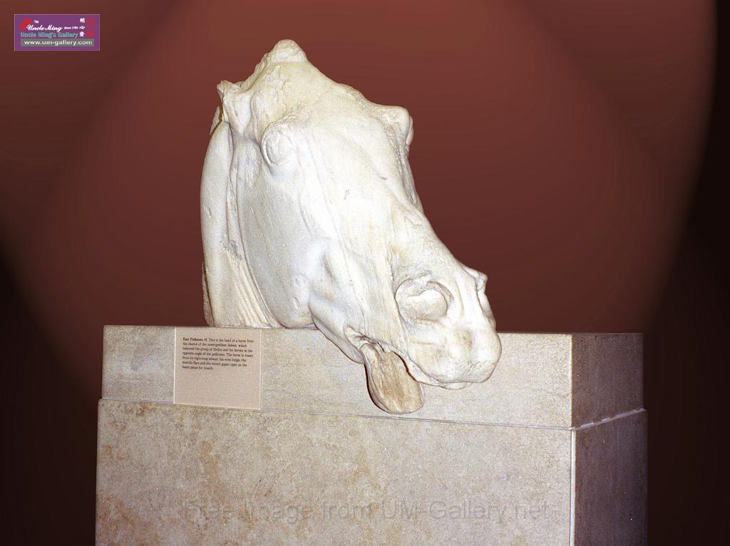 horse_head2 拷貝.jpg